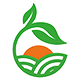 Logo 1 - Cabinet virtuel santé et bien-être par la nutrition - Intelligence artificielle et conception web Michel Bondallaz nutritionniste naturopathe - Romont
