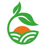 Logo - Cabinet virtuel santé et bien-être par la nutrition - Intelligence artificielle et conception web Michel Bondallaz nutritionniste naturopathe - Romont